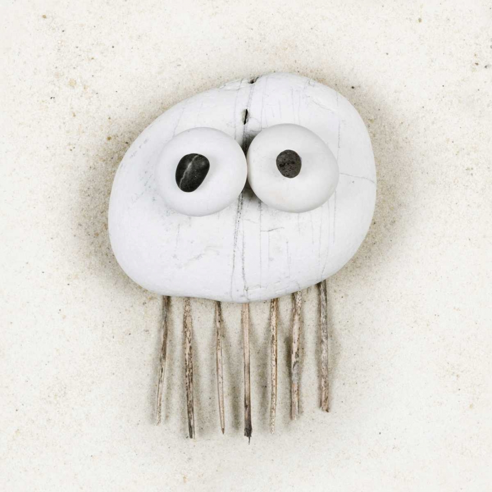 Jellyfish