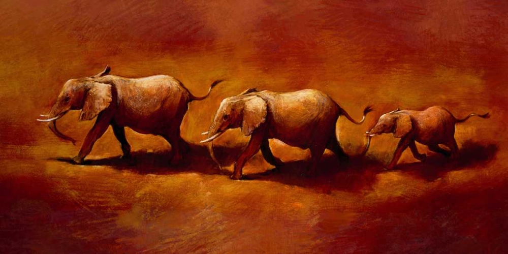 Three African Elephants