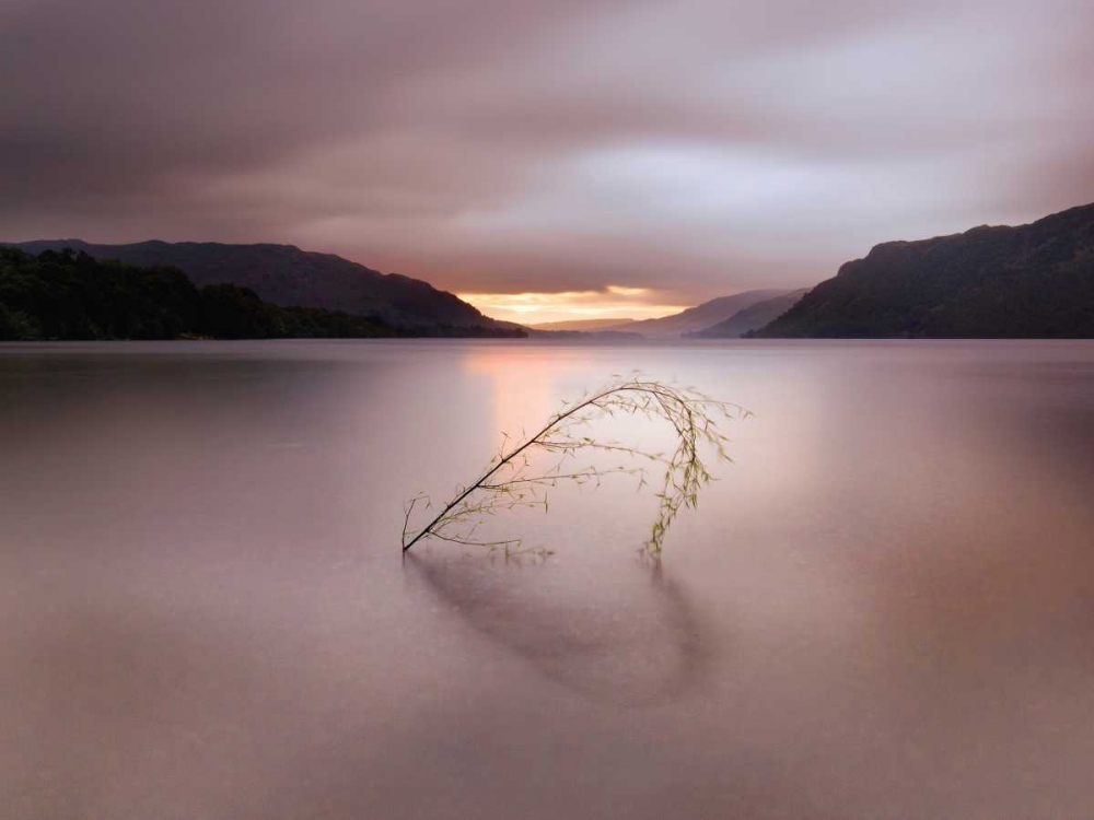 Tranquil Heart