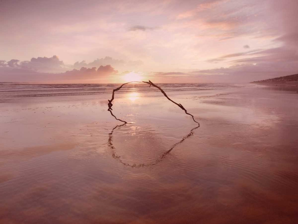 Love on the Horizon
