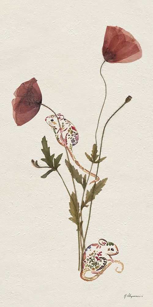 Wild Poppies