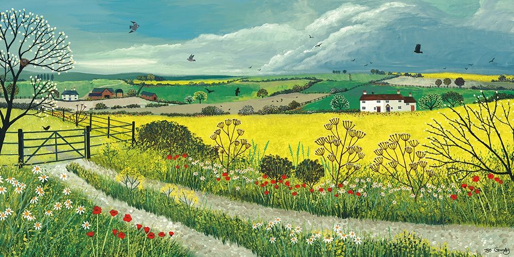 Canola Fields