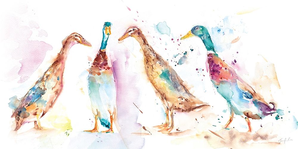 Runner Ducks