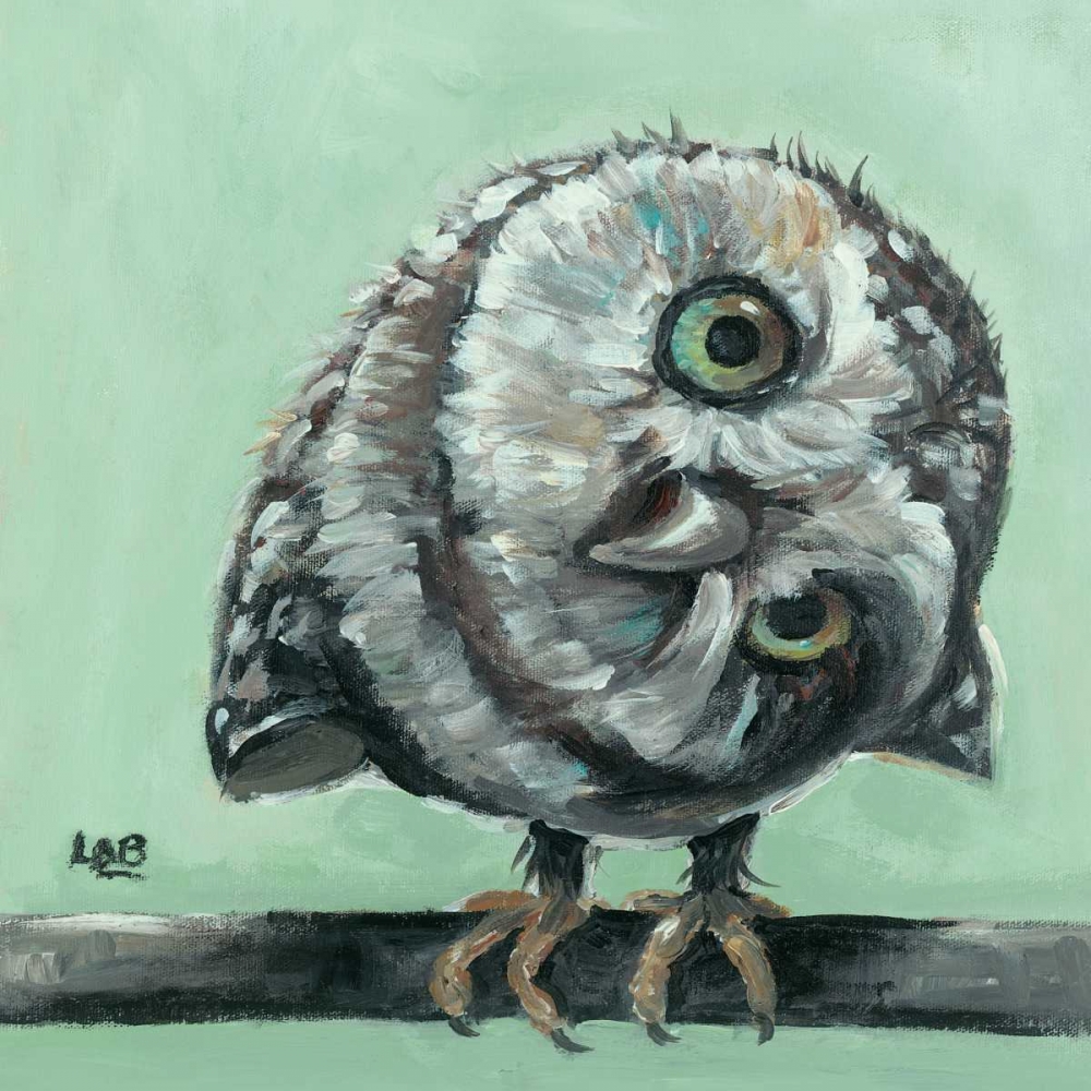 Little Owl