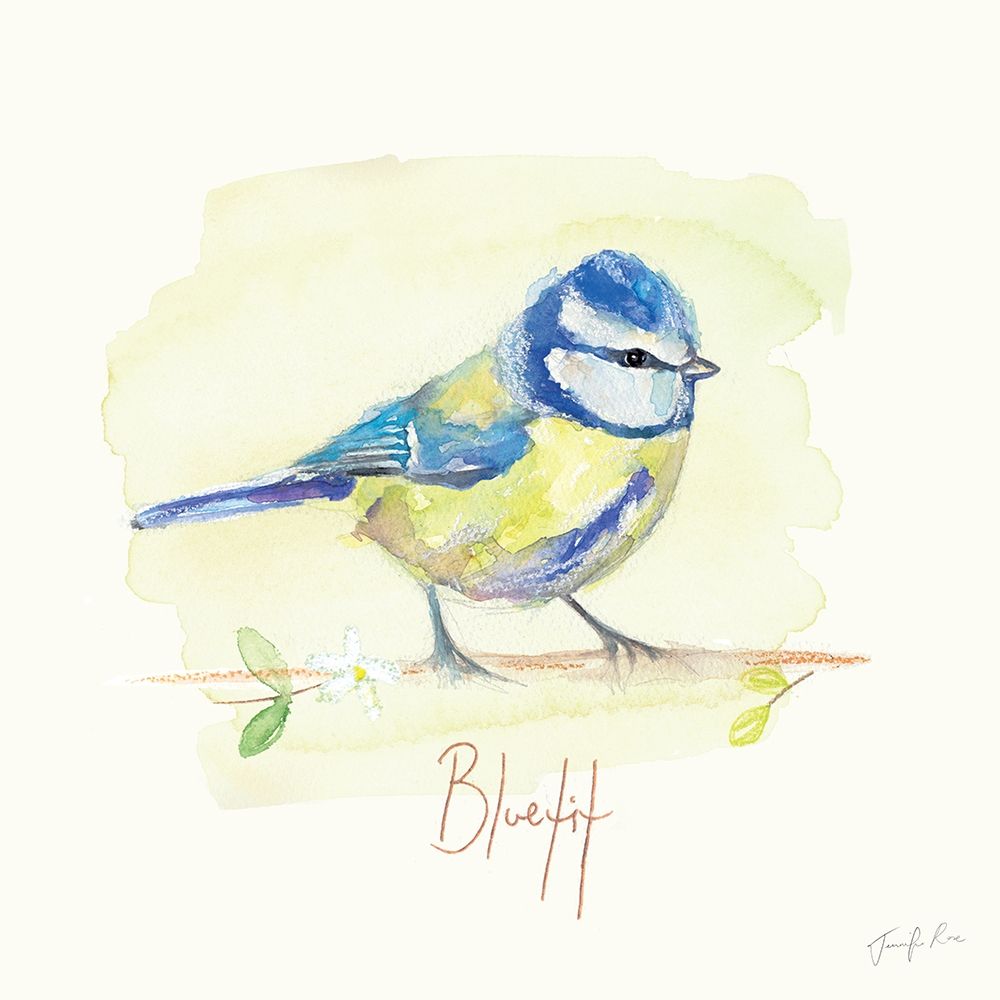 Blue Tit