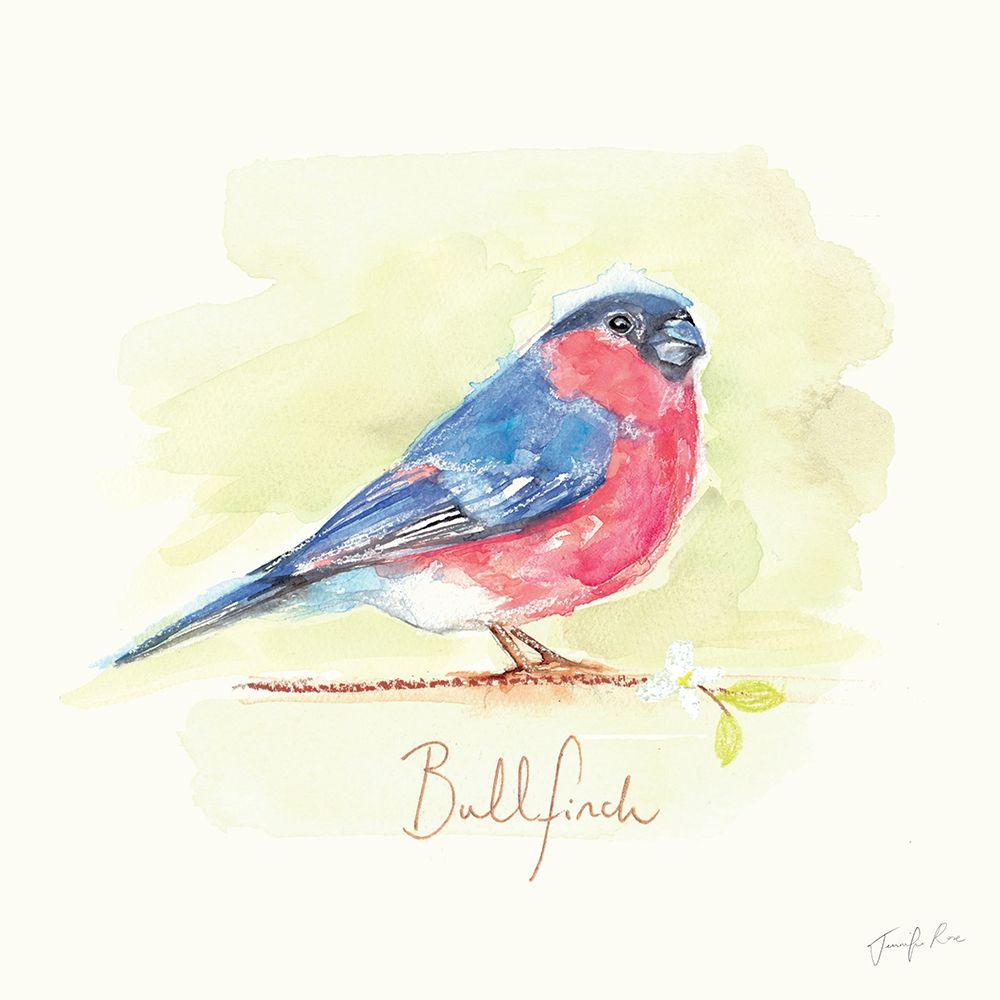 Bullfinch
