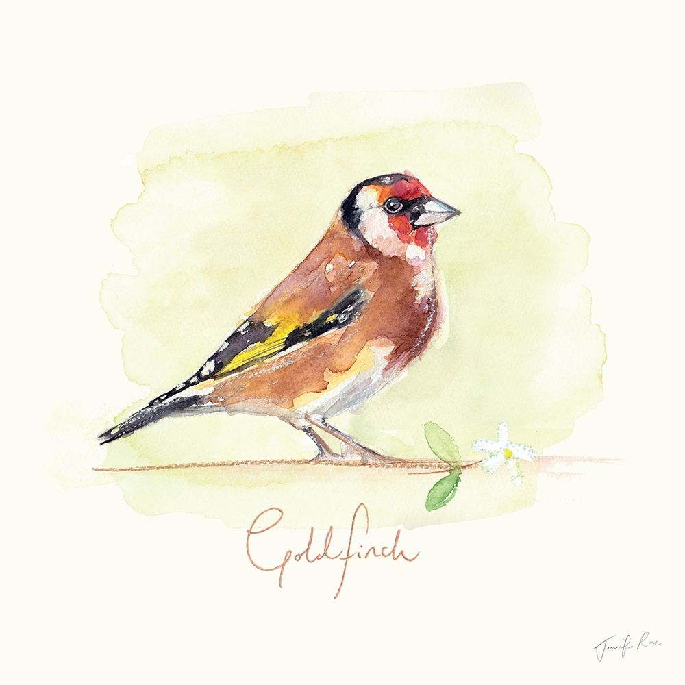 Goldfinch