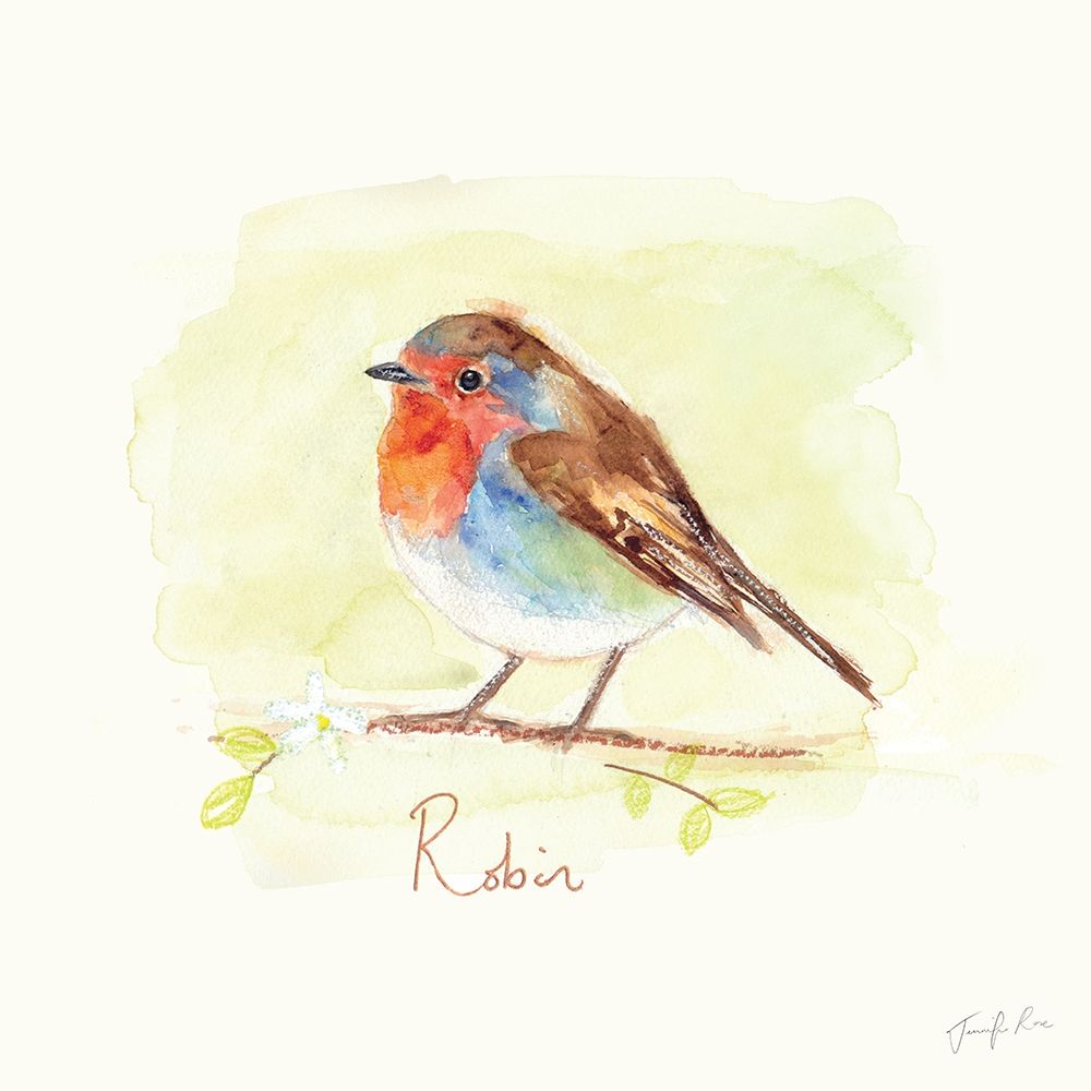 Robin