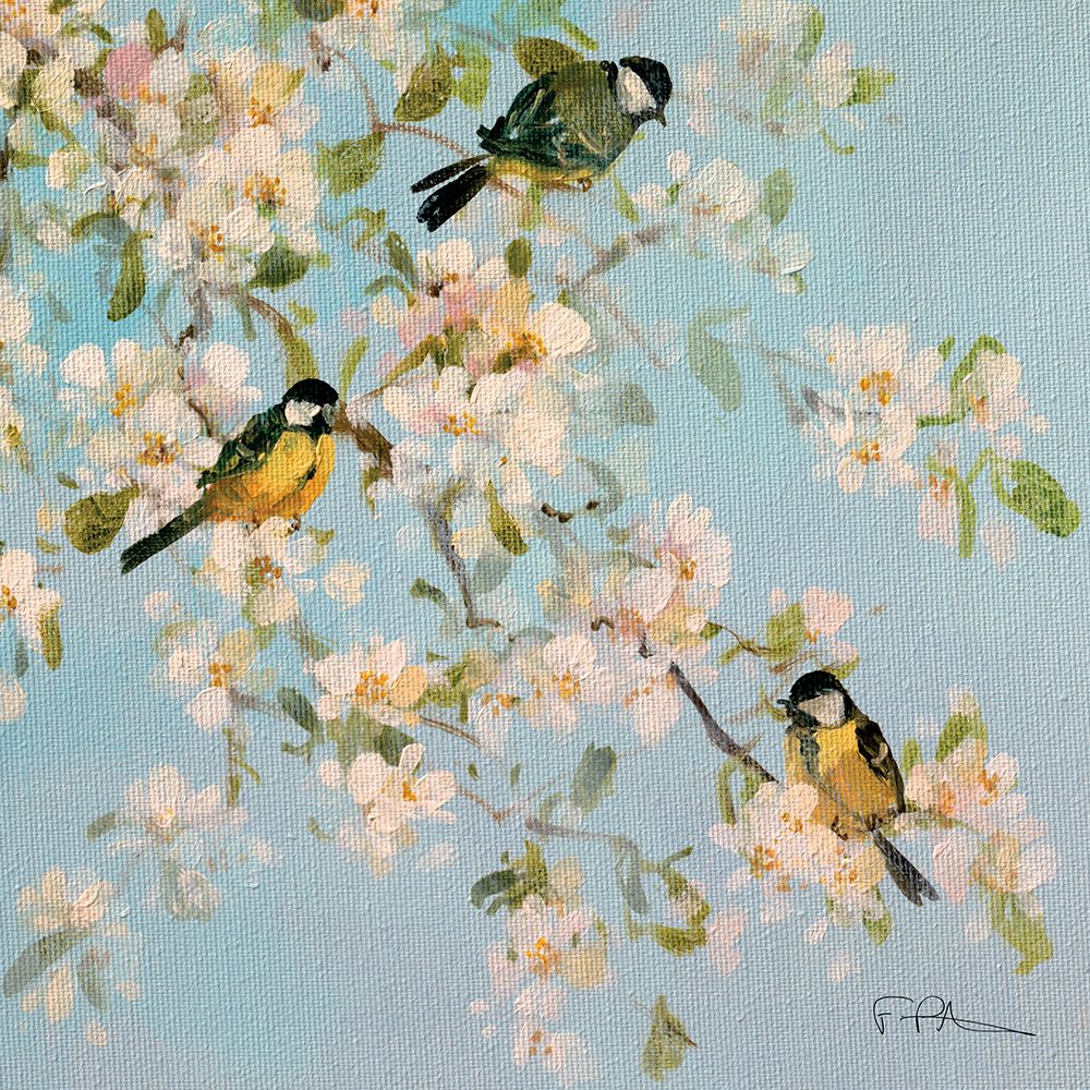 Song Birds and Apple Blossom