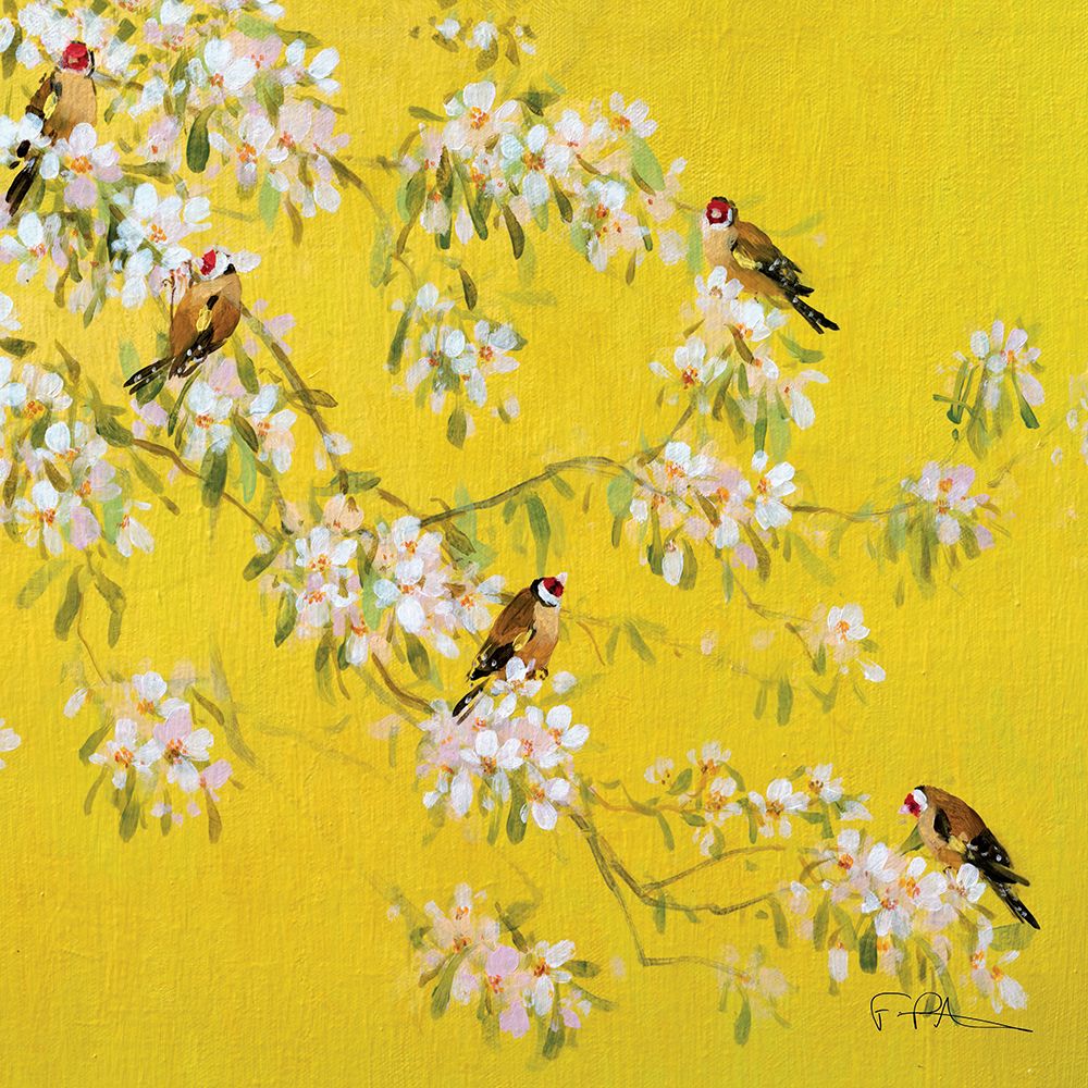 Spring Goldfinches