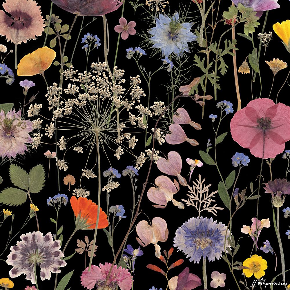 Full Bloom