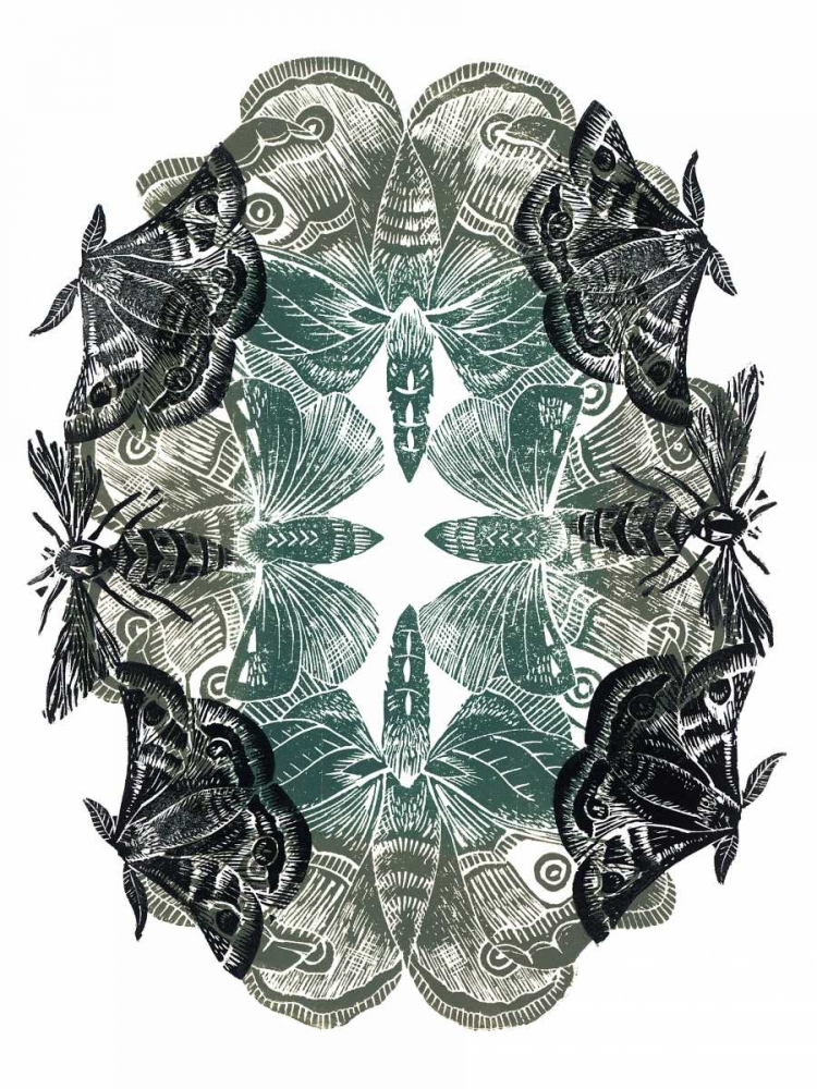 Moths
