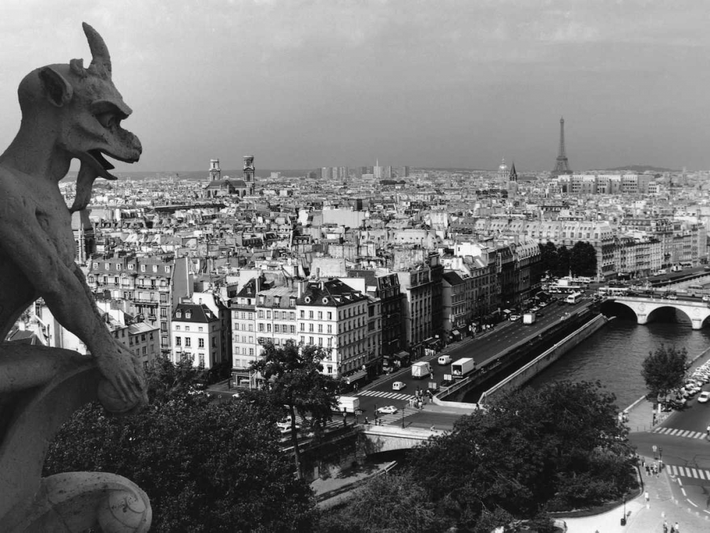 View from Notre-Dame, Paris