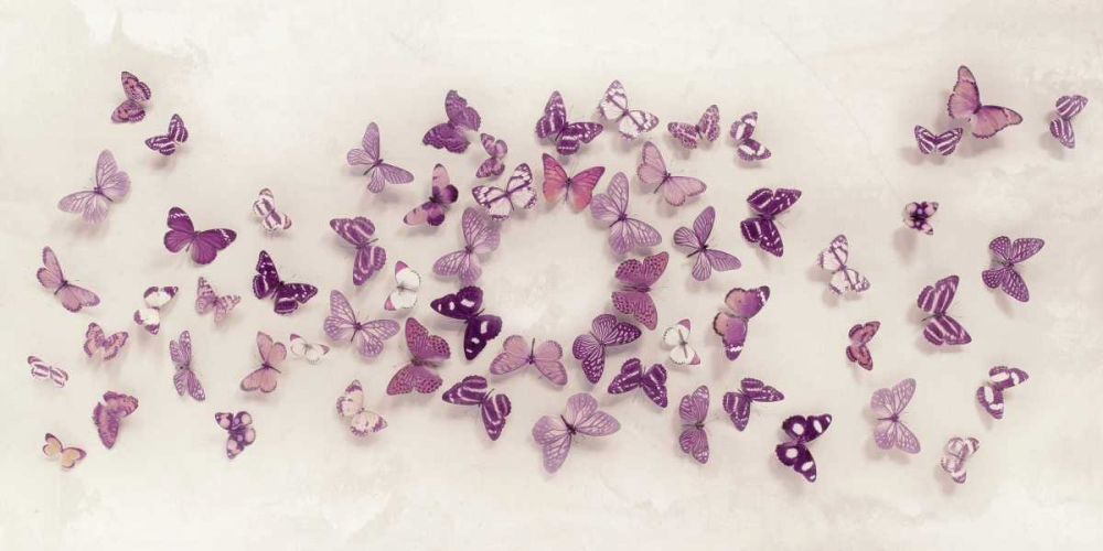 Kaleidoscope of Butterflies