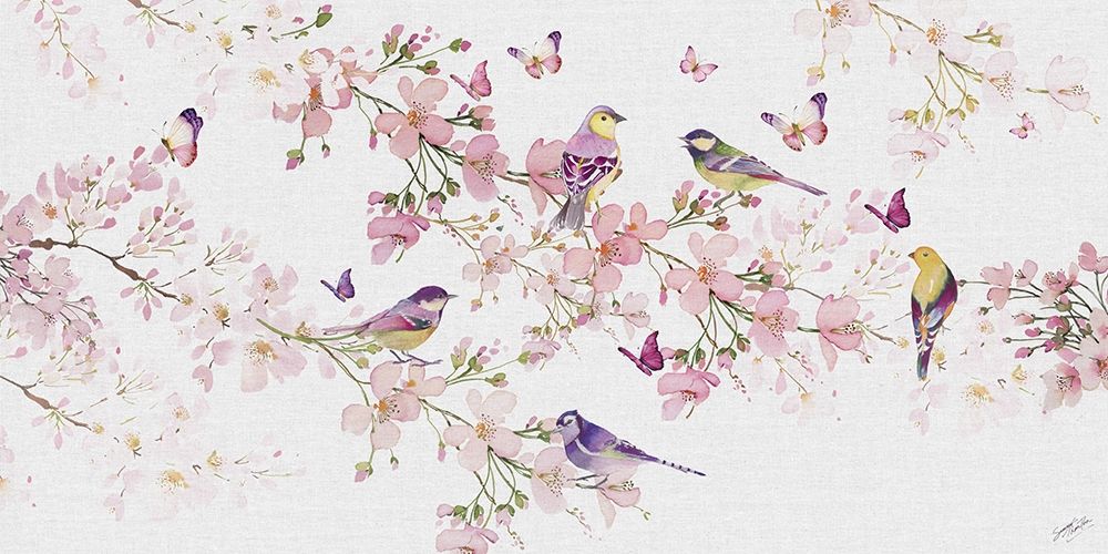 Birds and Blossom