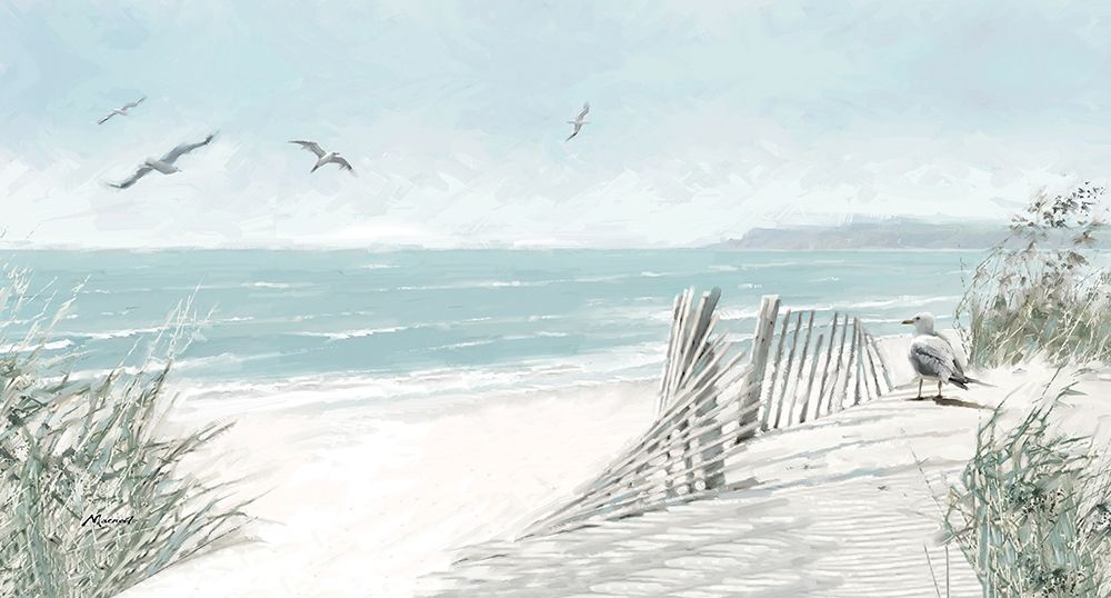 Coastal Dunes