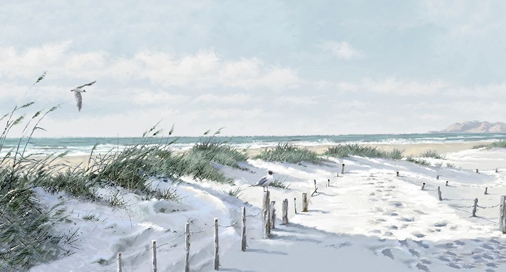 Footpath to the Beach