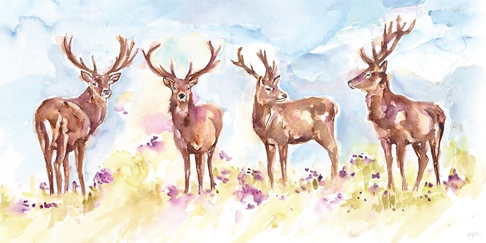 Stag Herd