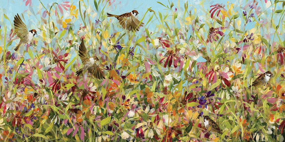 Meadow Sparrows