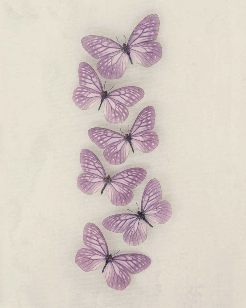 Lilac Butterflies
