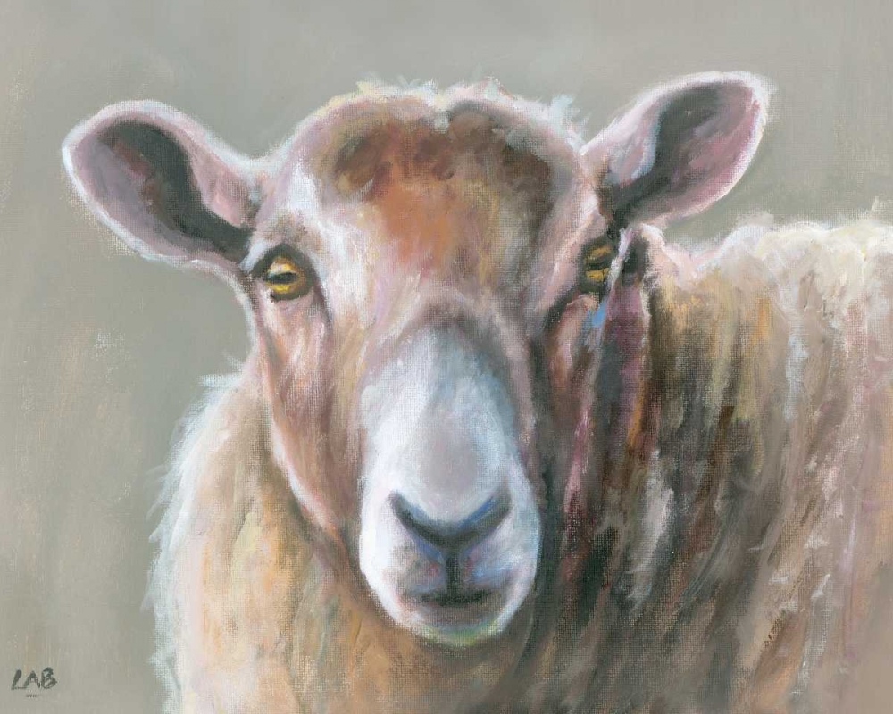 Looking Sheepish