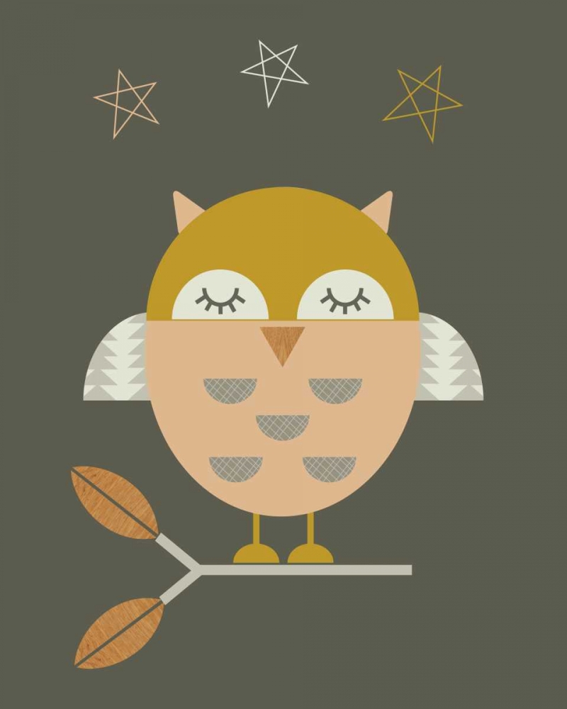 Little Owl