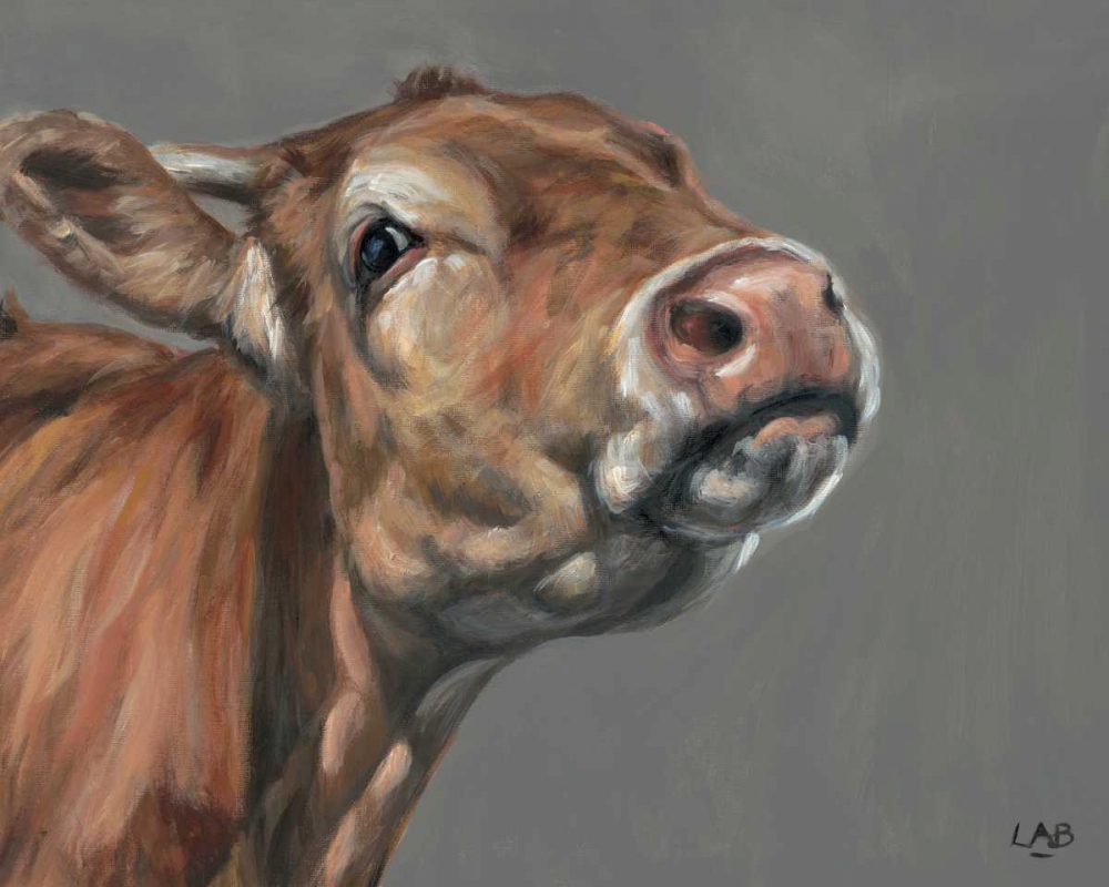 Snooty Cow