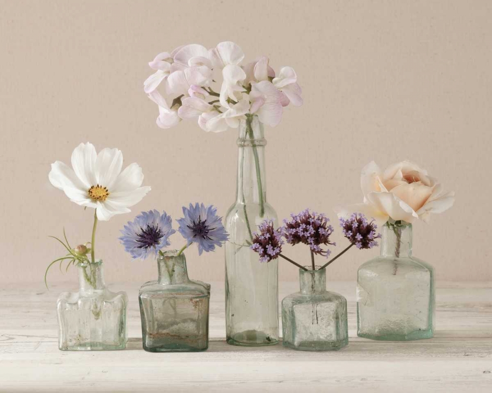 Flower Collection II