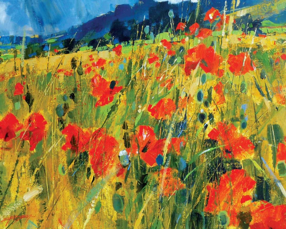 South Downs Poppies