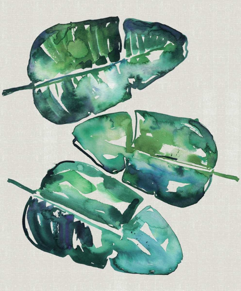 Banana Leaves