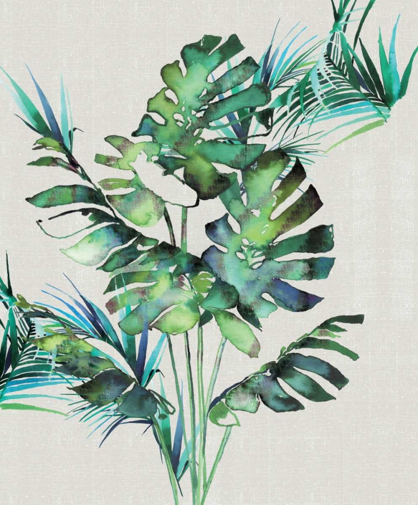 Monstera Leaves
