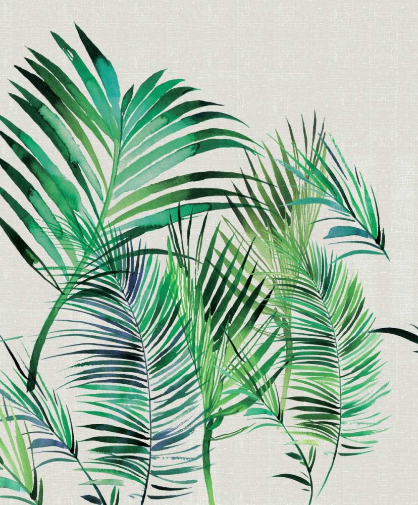 Palm Leaves