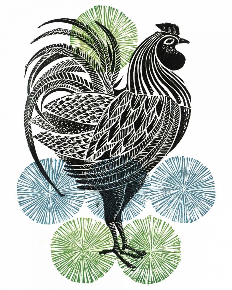 Cockerel