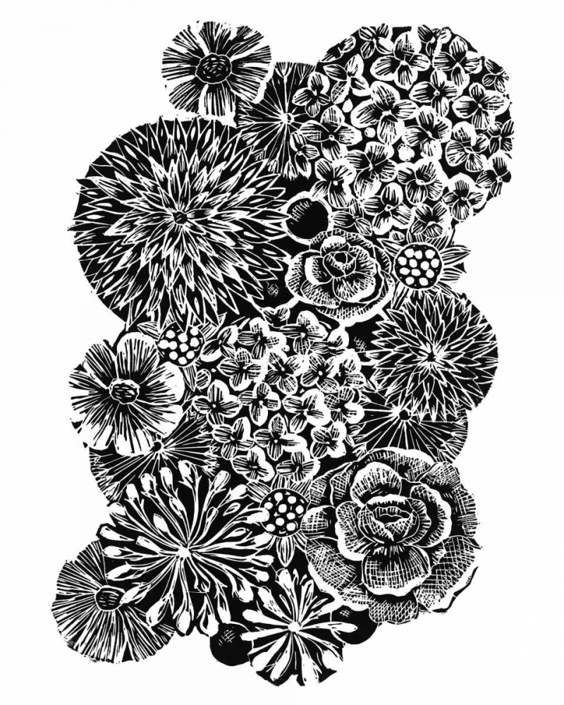 Florabunda