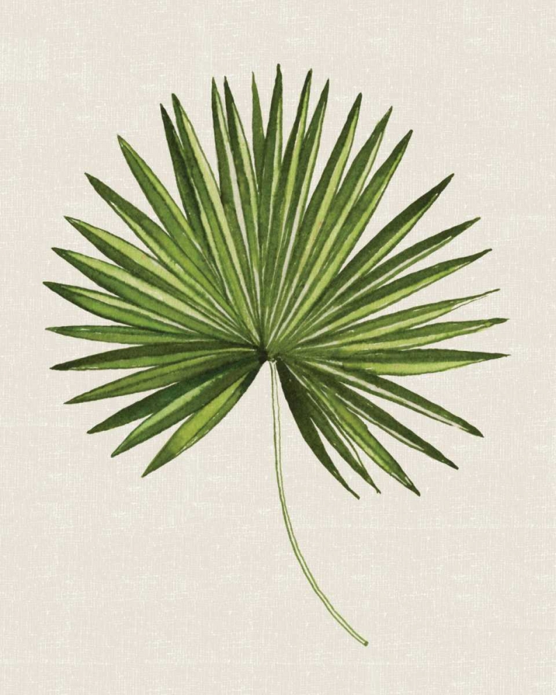 Tropical Leaf III