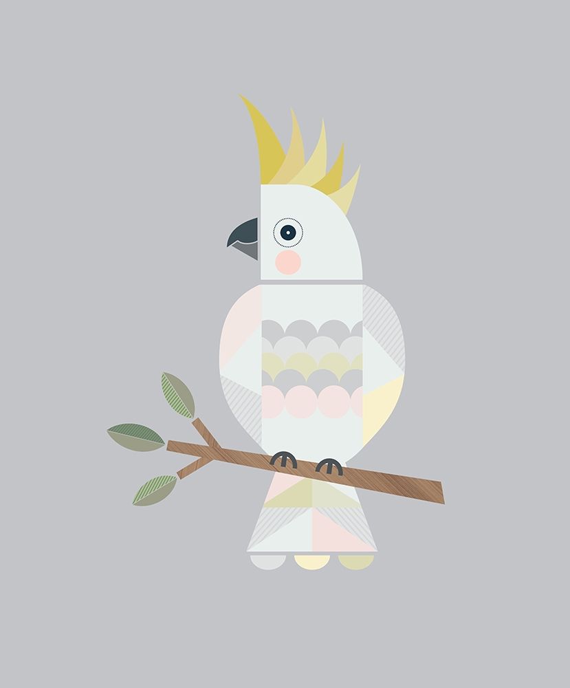 Cockatoo