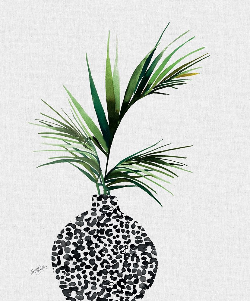 Areca Palm Plant