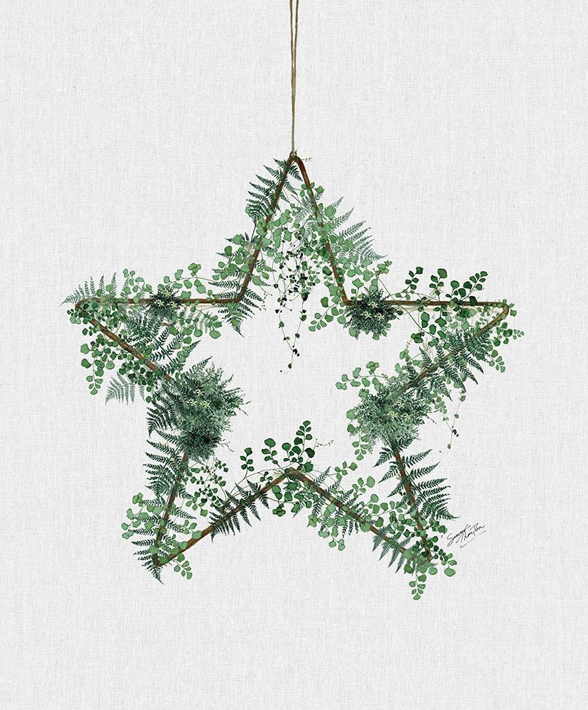 Fern Star