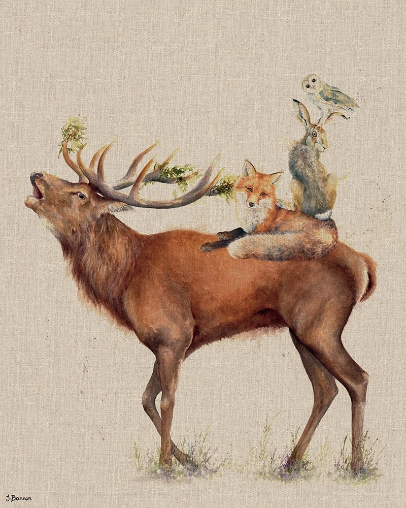 Call of the Wild