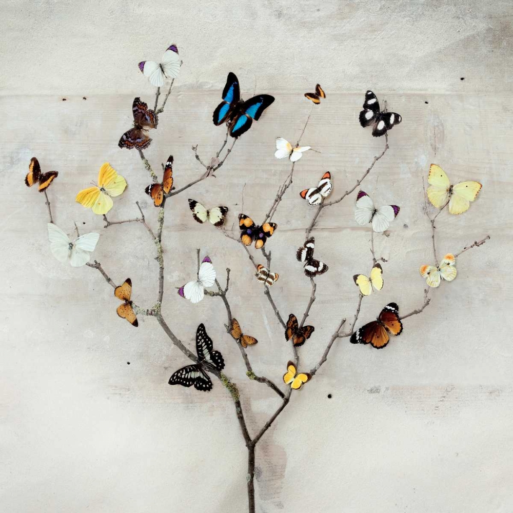 Tree of Butterflies