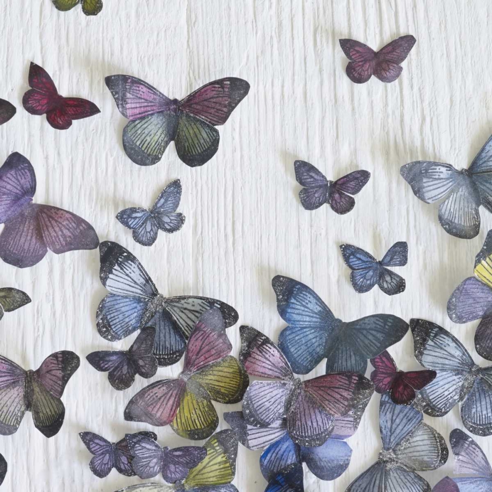 Butterfly Random