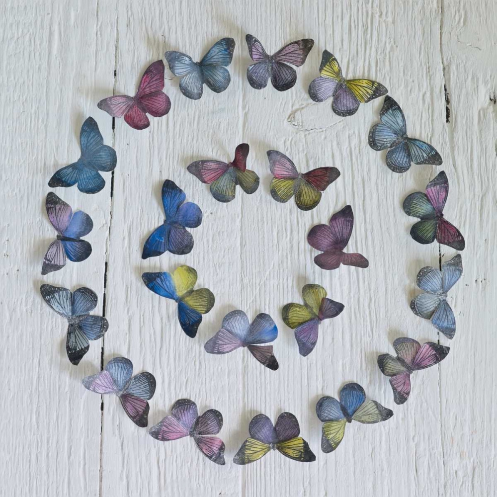 Butterfly Circle