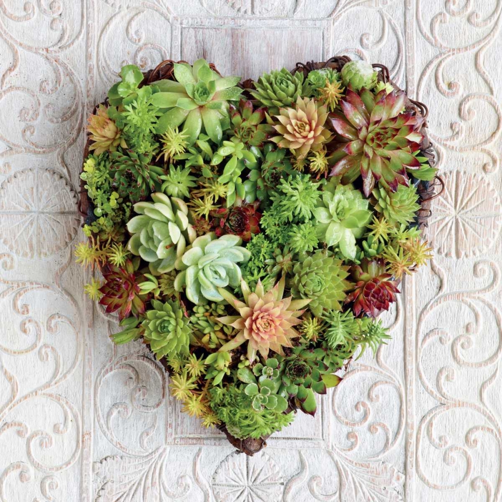 Succulent Heart