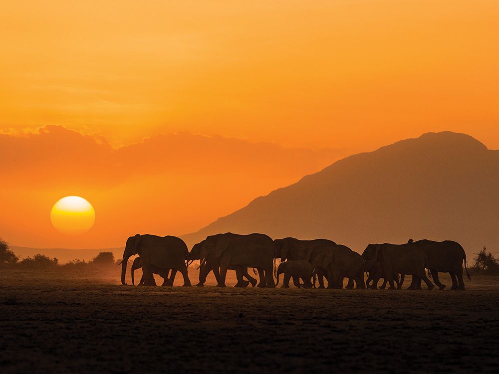 Amboseli Sunset