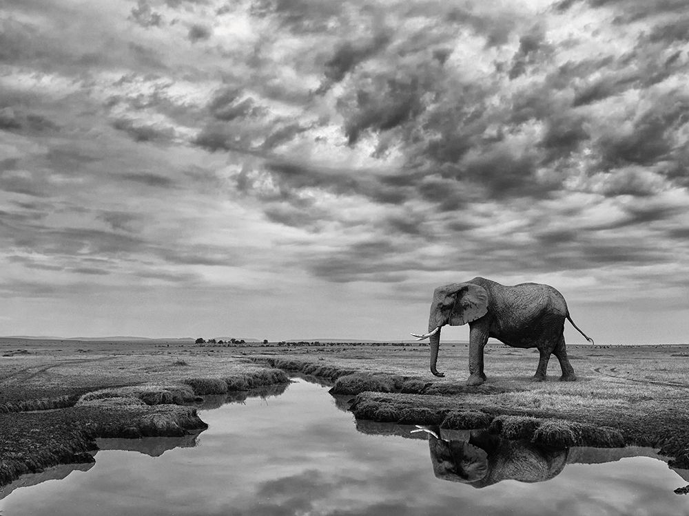 Giant Serenity