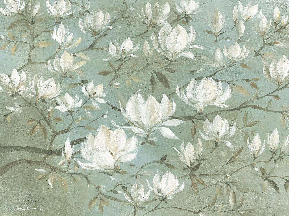 White Magnolia