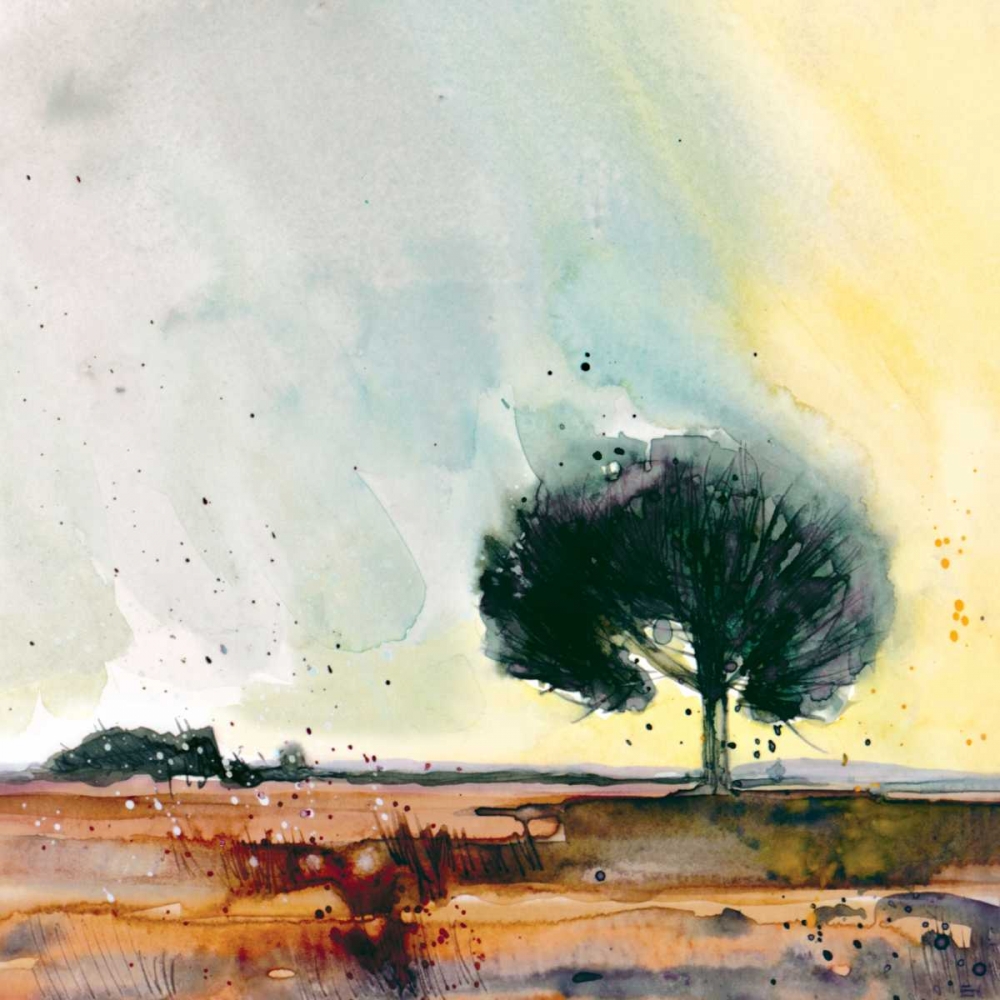 New Forest Study