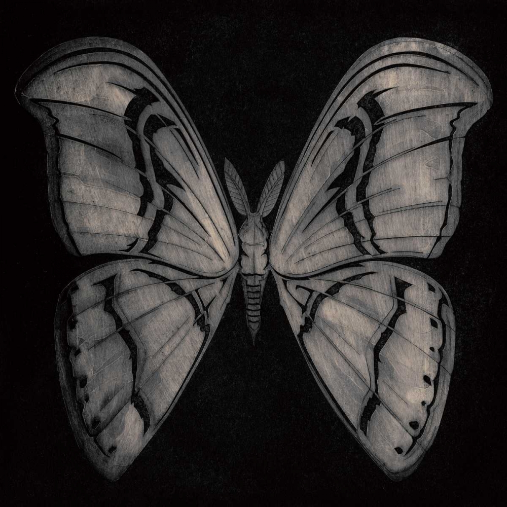 Moth