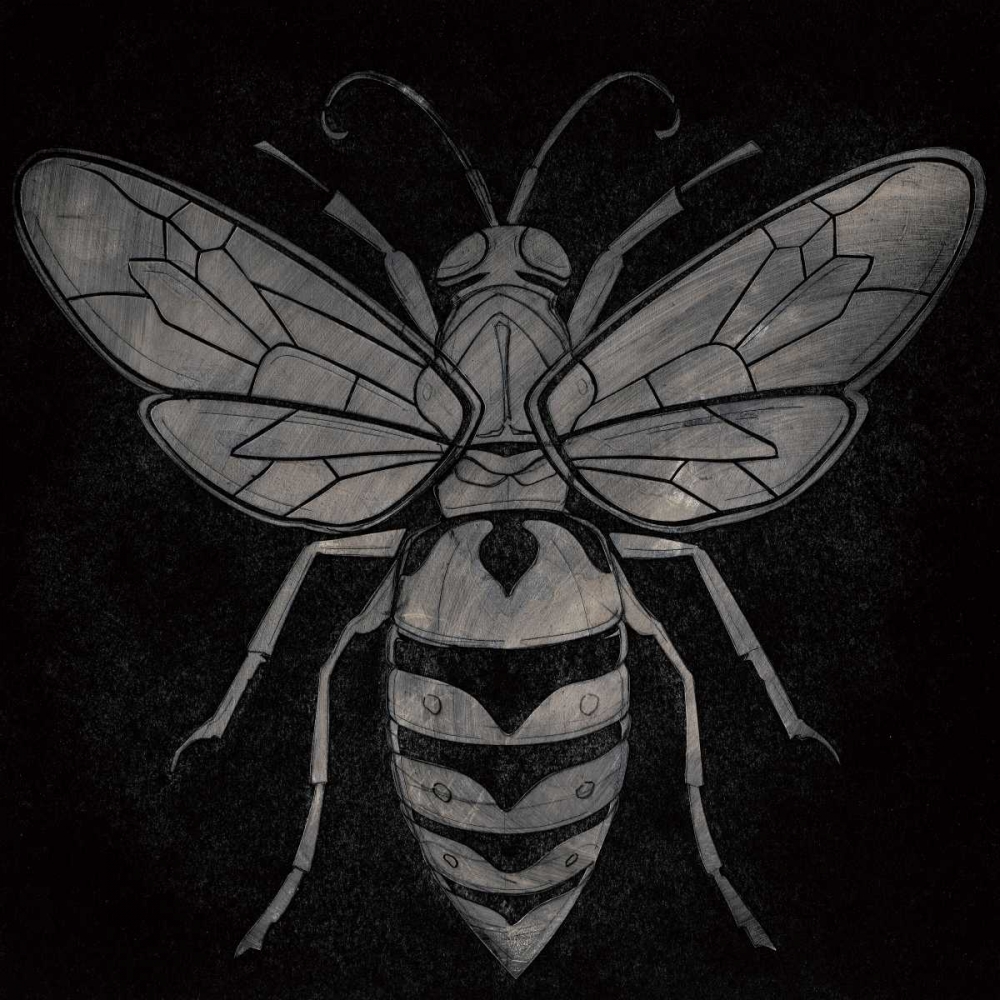 Wasp