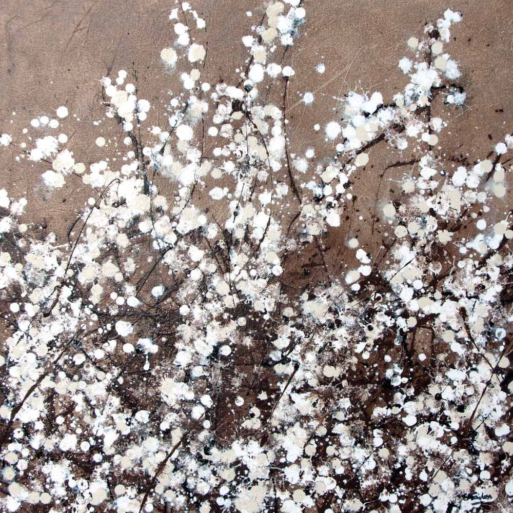 White Spring Blossom